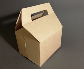 Cajas por mayor de papas fritas en santiago